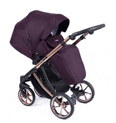 Prikaži podrobnosti za Coletto Dante-12 Slika Coletto Dante-12