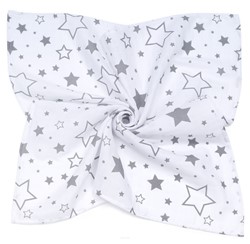 Prikaži podrobnosti za Tetra plenica iz muslina 120x120 BIG STARS Slika Tetra plenica iz muslina 120x120 BIG STARS