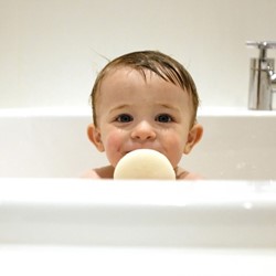 Prikaži podrobnosti za Kokoso gobica za umivanje Slika Kokoso gobica za umivanje