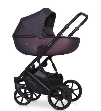 Slika Nesa Plum