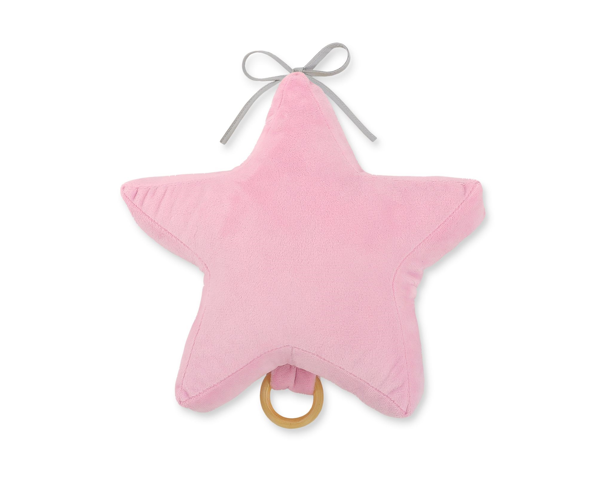 Slika Glasbena zvezda PINK